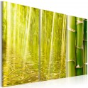 Quadro - Bambu' riflesso in uno specchio d'acqua