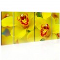 Quadro - Orchids - intensity of yellow color