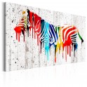 Quadro - Colourful Zebra