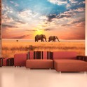 Fotomurale - Elefanti nella savana africana