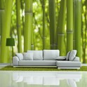 Fotomurale - bambù - verde