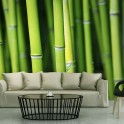 Fotomurale - Bambù