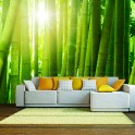 Fotomurale - Sole e bambù