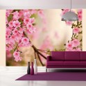 Fotomurale - Pink azalea