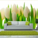 Fotomurale - Bianchi tulipani