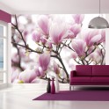 Fotomurale - Rami di magnolia in fiore