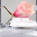 Fotomurale - Fiore di magnolia solitario
