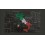 Fotomurale  Text map of Italy