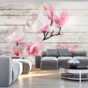 Fotomurale - Delicatezza della magnolia