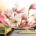 Fotomurale -  Magnolia In Rays