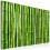 Quadro  Muro di bambu