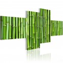 Quadro - Steli verdi di bambu'